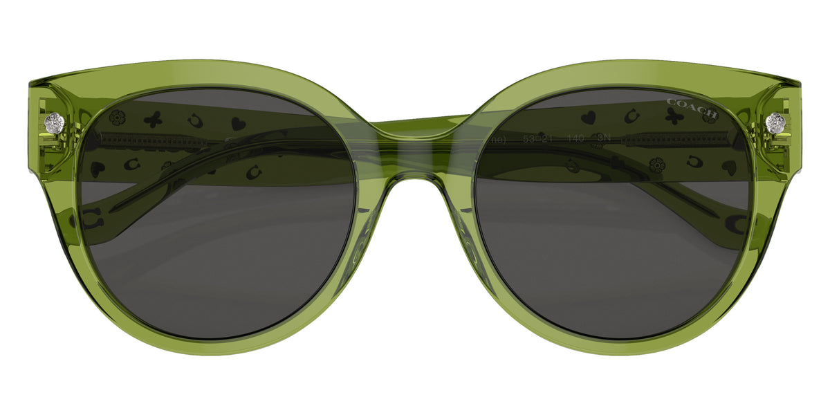 Coach HC8393U CR612 581087 53 - Transparent Key Lime / Gray Solid #id:hc8393u581087_s:100120