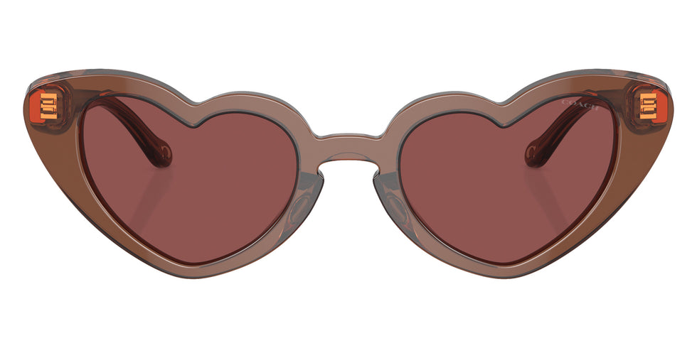 Coach HC8394U CR613 581175 51 - Transparent Brown / Wine #id:hc8394u581175_s:100100