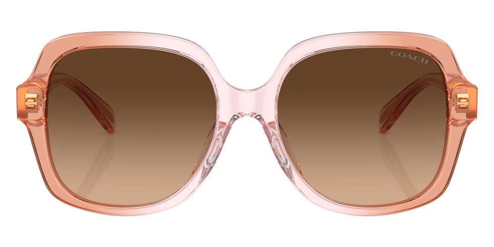 Coach HC8395F CR962 581274 56 - Saddle/Dusty Rose Gradient / Brown Gradient #id:hc8395f581274_s:102100