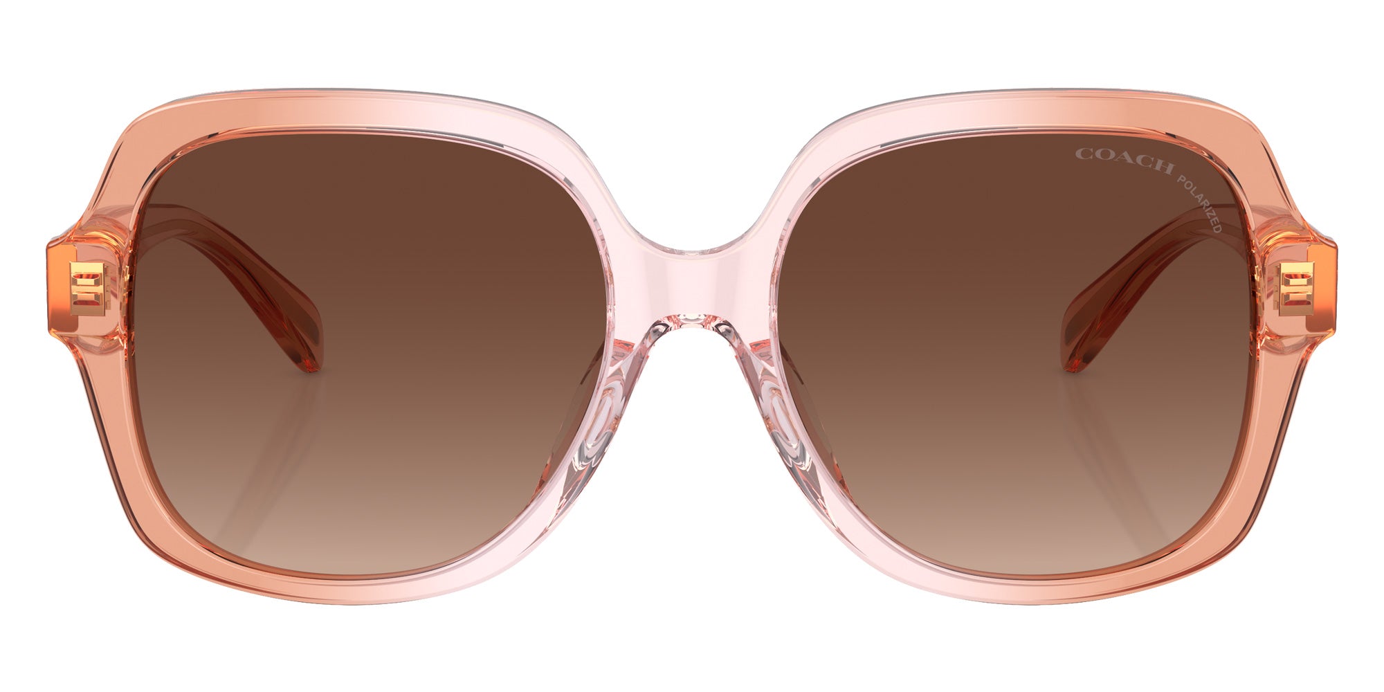 Coach HC8395U CR614 5812T5 54 - Saddle/Dusty Rose Gradient / Brown Gradient Polarized #id:hc8395u5812t5_s:104100