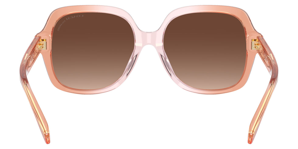 Coach HC8395U CR614 5812T5 54 - Saddle/Dusty Rose Gradient / Brown Gradient Polarized #id:hc8395u5812t5_s:104115
