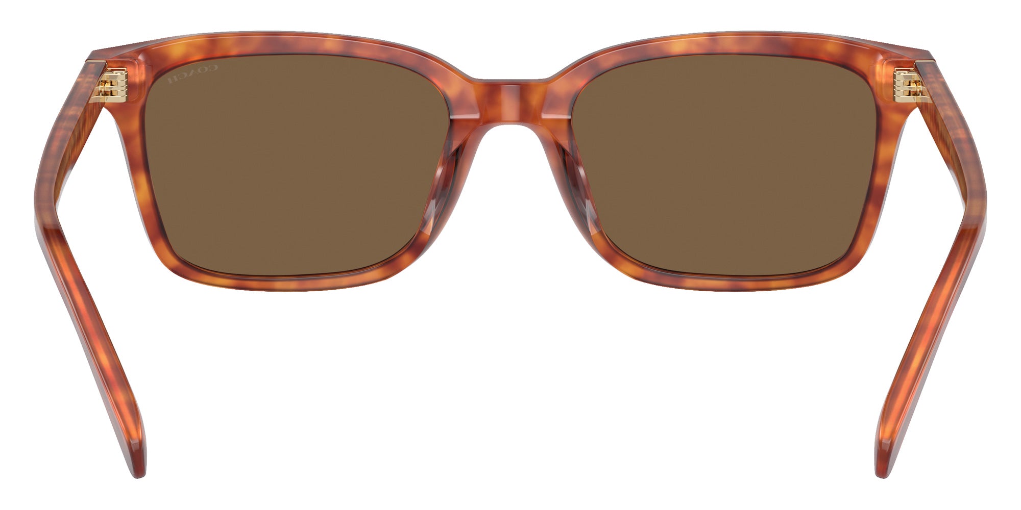 Coach HC8398U CR630 577473 54 - Caramel Tortoise / Brown Solid #id:hc8398u577473_s:100115