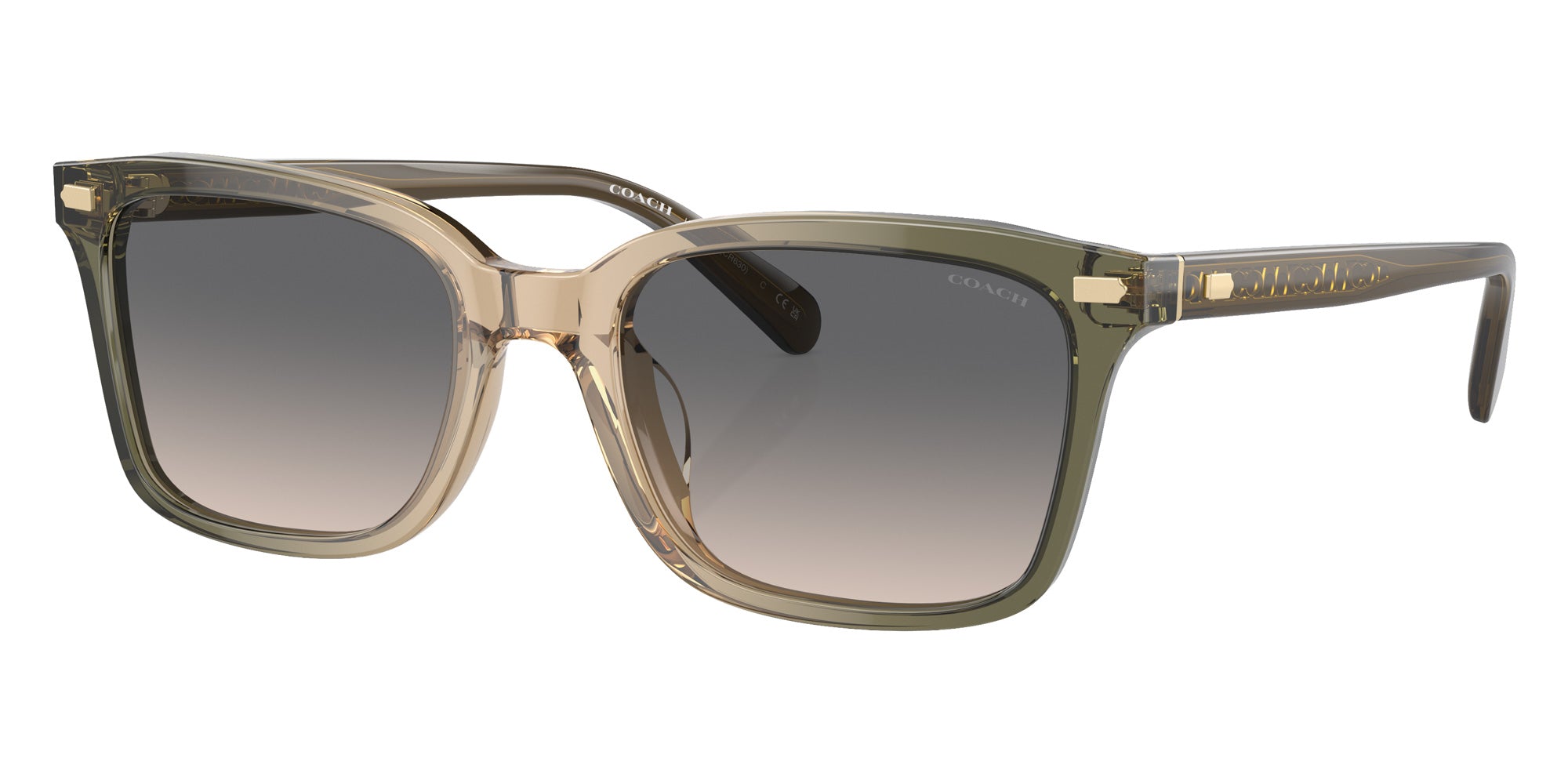 Coach HC8398U CR630 5797G9 54 - Olive Tan Gradient / Green Sand #id:hc8398u5797g9_s:102105