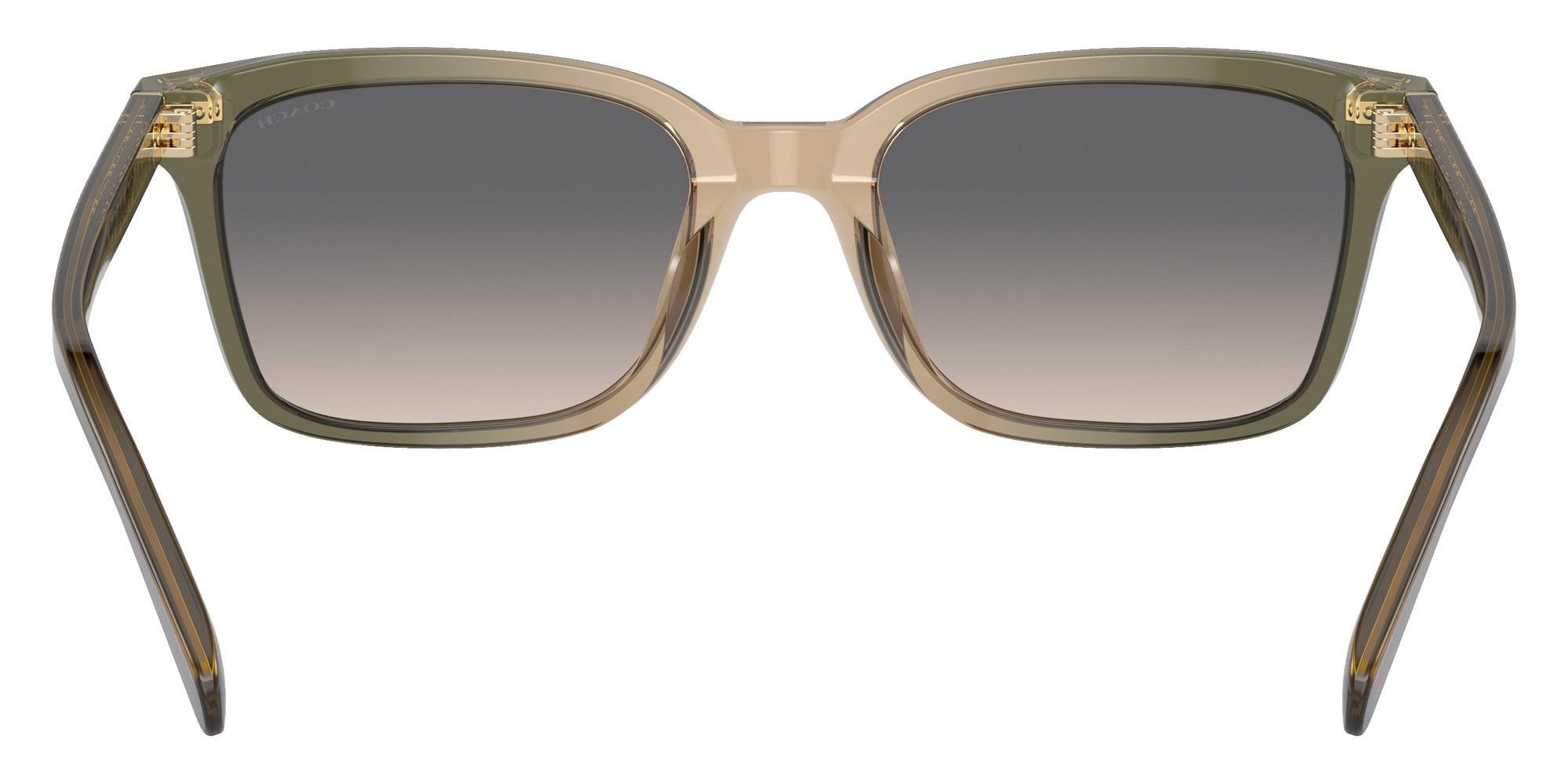 Coach HC8398U CR630 5797G9 54 - Olive Tan Gradient / Green Sand #id:hc8398u5797g9_s:102115
