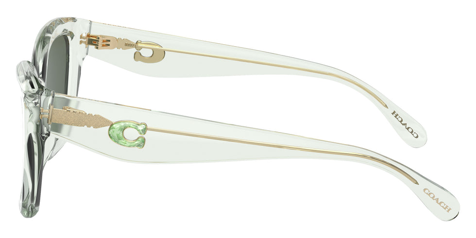 Coach HC8405U CS544 583271 54 - Transparent Pistachio Green / Green Solid #id:hc8405u583271_s:104110