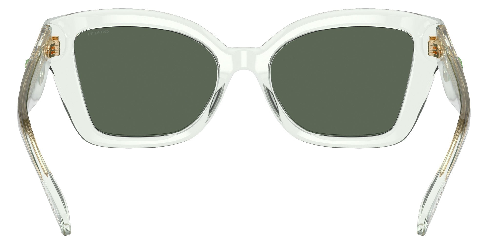 Coach HC8405U CS544 583271 54 - Transparent Pistachio Green / Green Solid #id:hc8405u583271_s:104115