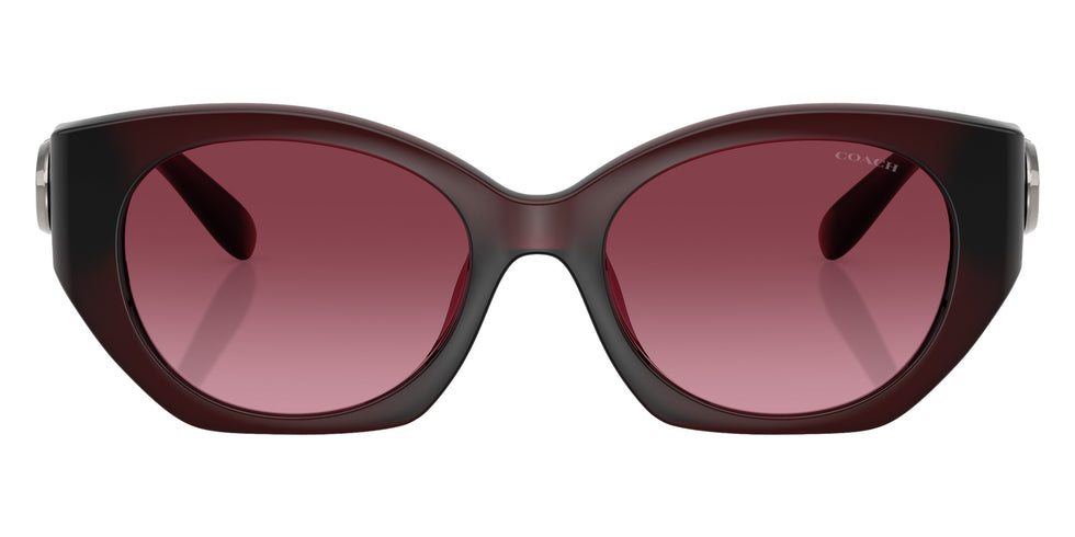 Coach HC8407U CW194 53938H 52 - Milky Burgundy / Berry Gradient #id:hc8407u53938h_s:102100