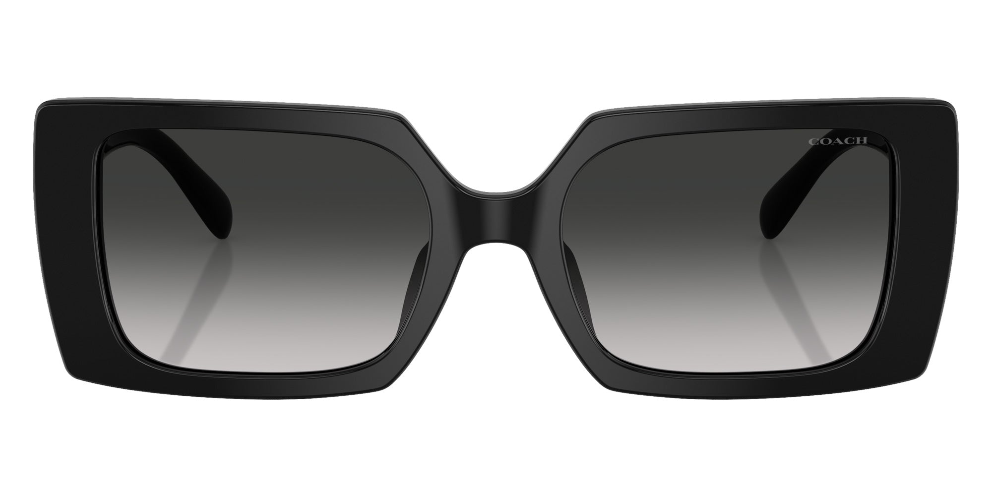 Coach HC8409U CW224 50023C 53 - Black / Gray Gradient #id:hc8409u50023c_s:100100