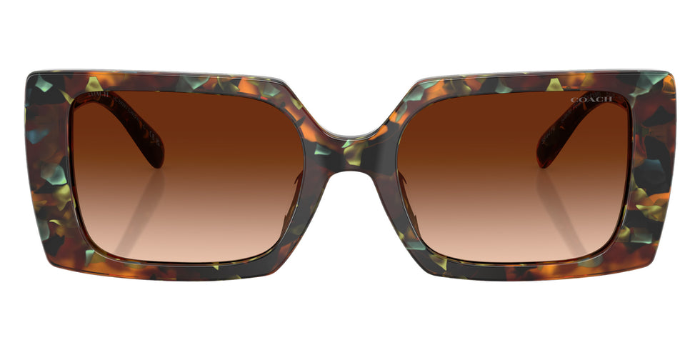 Coach HC8409U CW224 584474 53 - Jade Pearl Tortoise / Brown Gradient #id:hc8409u584474_s:104100