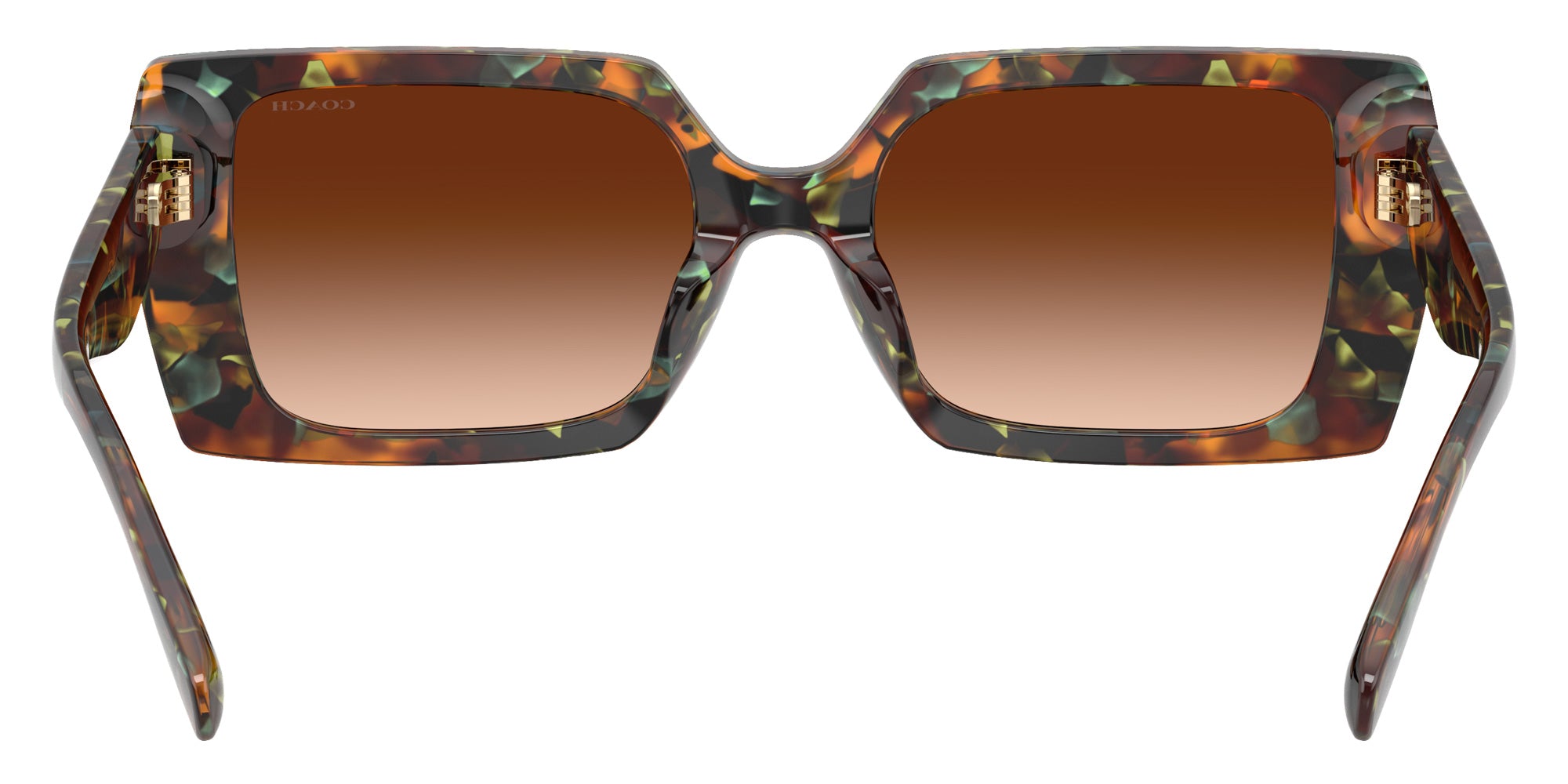 Coach HC8409U CW224 584474 53 - Jade Pearl Tortoise / Brown Gradient #id:hc8409u584474_s:104115