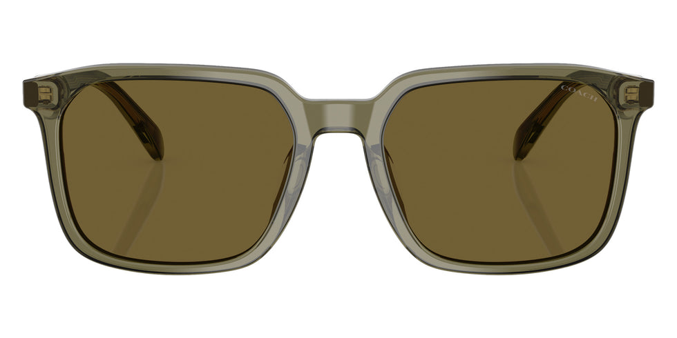 Coach HC8411U CW405 5848S7 55 - Transparent Olive / Army Solid #id:hc8411u5848s7_s:102100