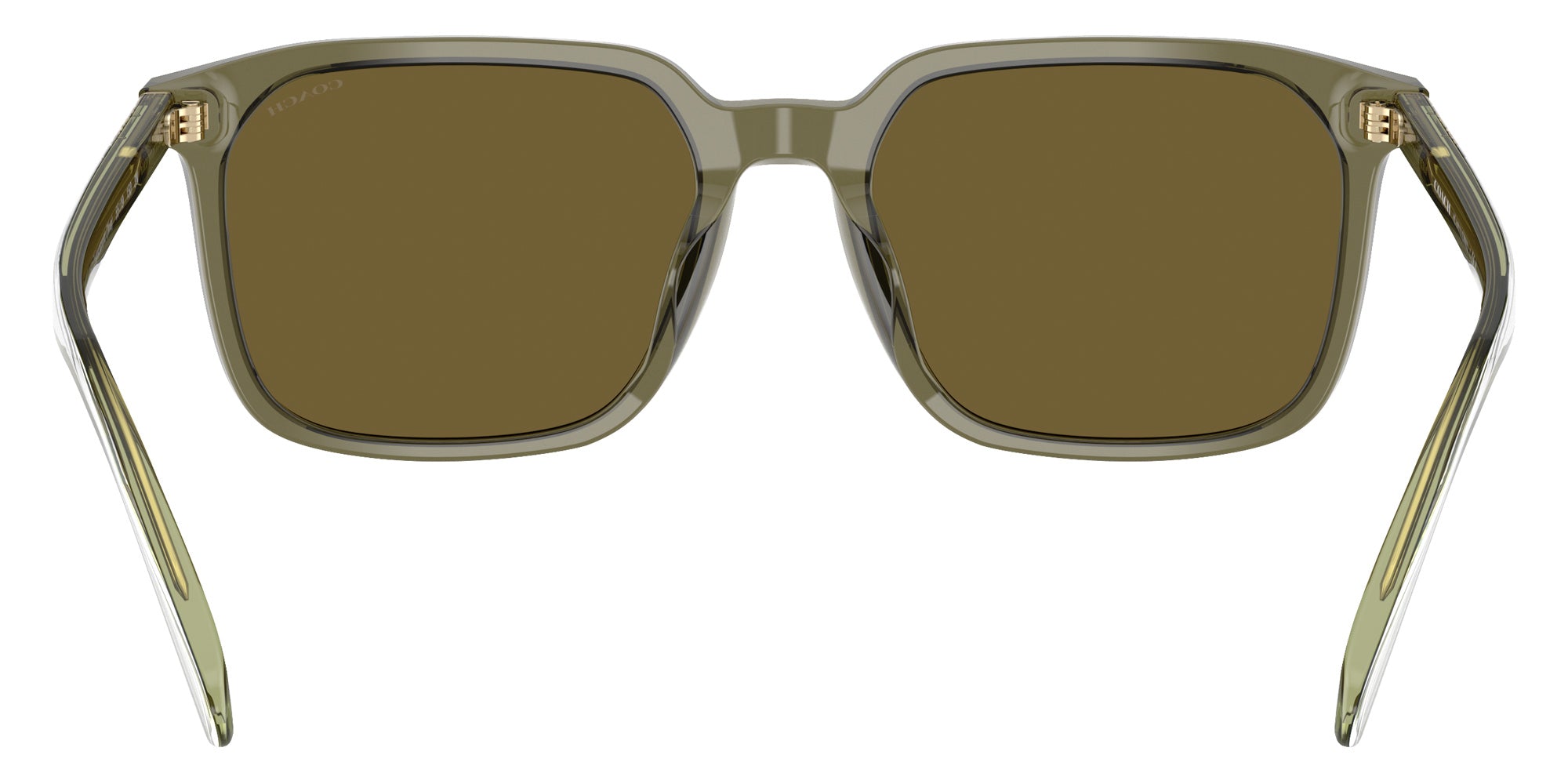 Coach HC8411U CW405 5848S7 55 - Transparent Olive / Army Solid #id:hc8411u5848s7_s:102115