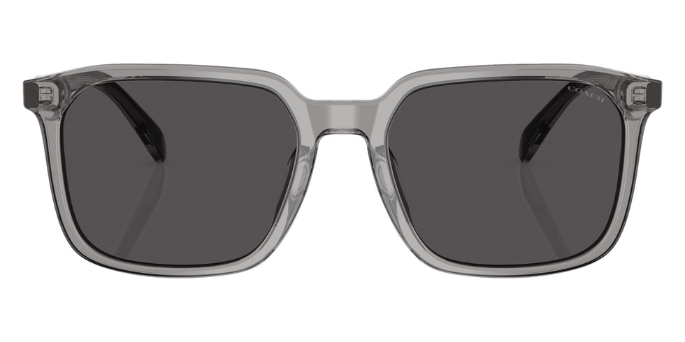 Coach HC8411U CW405 584987 55 - Transparent Gray / Gray Solid #id:hc8411u584987_s:104100