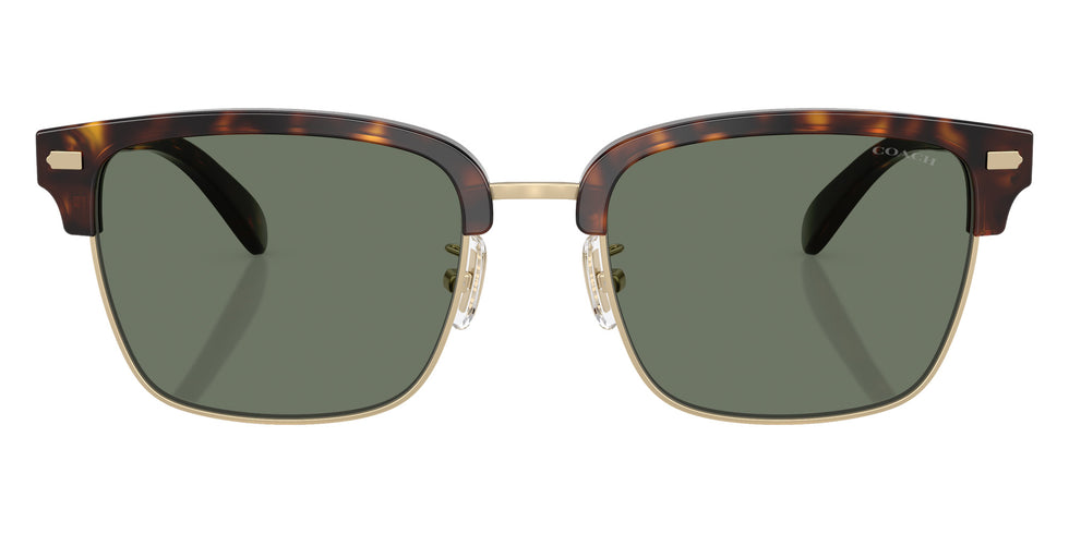 Coach HC8412 CW406 51203H 56 - Light Gold/Dark Tortoise / Green Solid #id:hc841251203h_s:104100