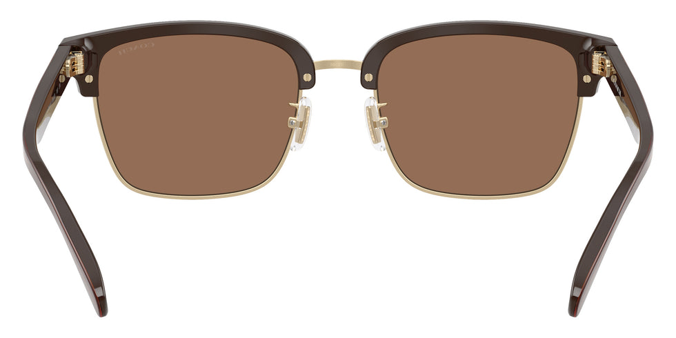 Coach HC8412 CW406 554273 56 - Light Gold/Brown / Brown Solid #id:hc8412554273_s:106115