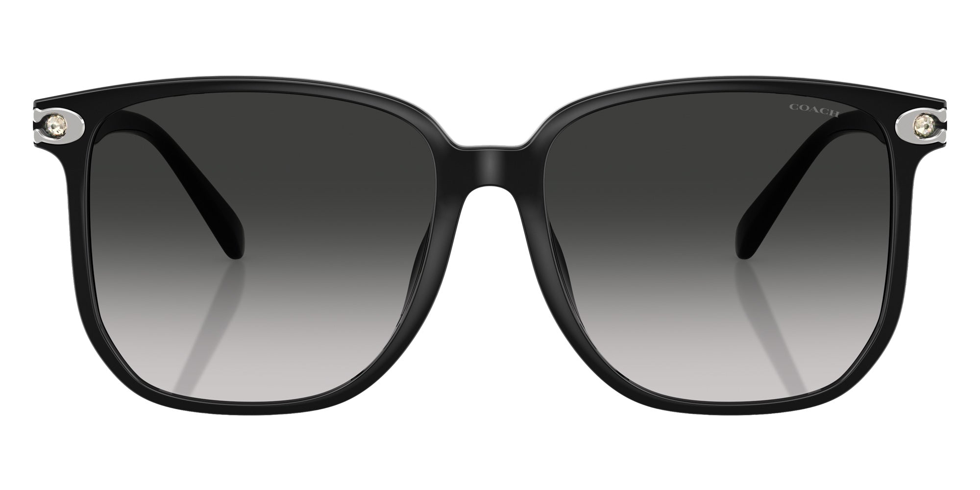 Coach HC8413BD CW419 50023C 58 - Black / Gray Gradient #id:hc8413bd50023c_s:100100