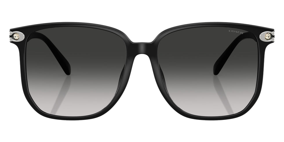 Coach HC8413BD CW419 50023C 58 - Black / Gray Gradient #id:hc8413bd50023c_s:100100
