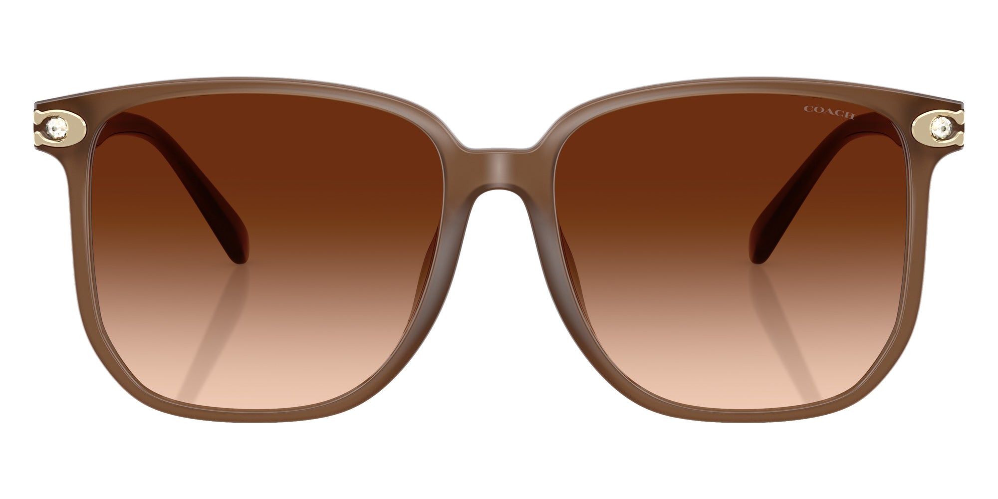 Coach HC8413BD CW419 580874 58 - Milky Brown / Brown Gradient #id:hc8413bd580874_s:104100