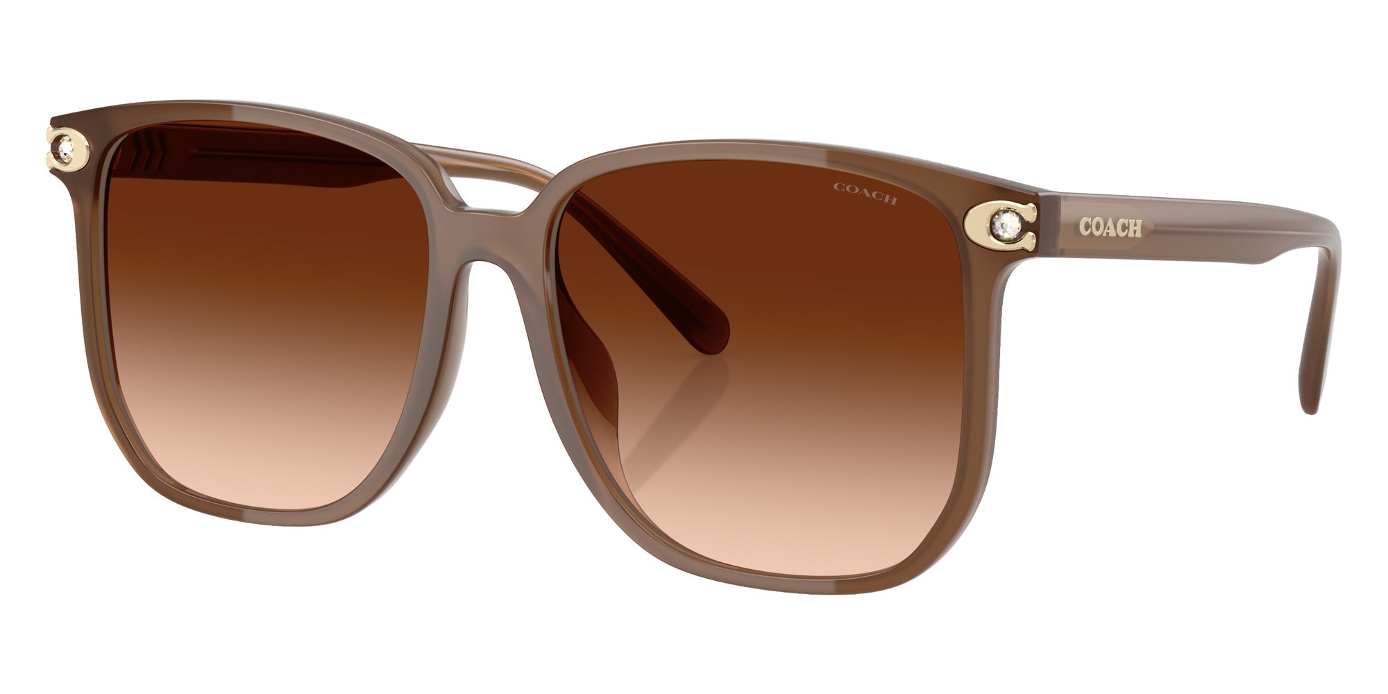 Coach HC8413BD CW419 580874 58 - Milky Brown / Brown Gradient #id:hc8413bd580874_s:104105