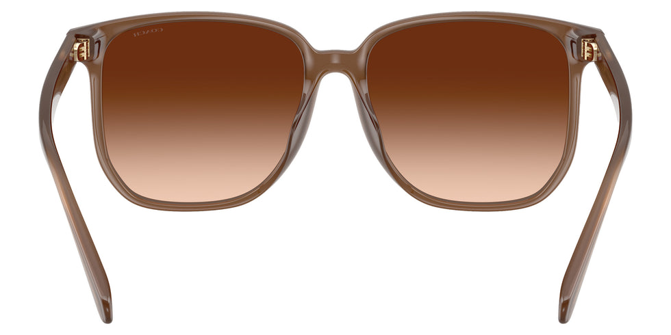 Coach HC8413BD CW419 580874 58 - Milky Brown / Brown Gradient #id:hc8413bd580874_s:104115