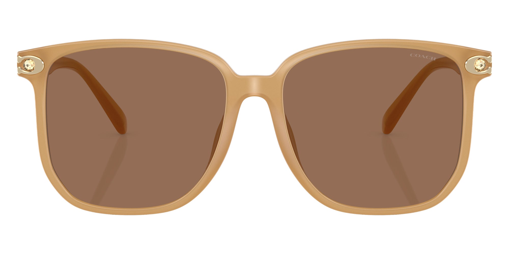 Coach HC8413BD CW419 585473 58 - Milky Tea / Brown Solid #id:hc8413bd585473_s:110100