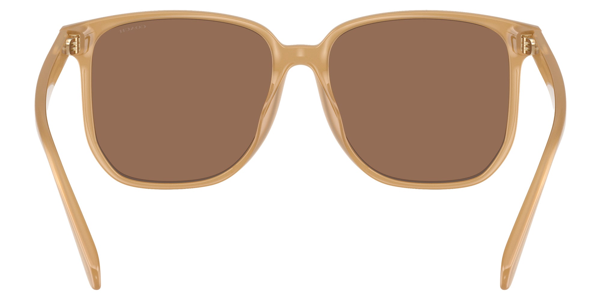 Coach HC8413BD CW419 585473 58 - Milky Tea / Brown Solid #id:hc8413bd585473_s:110115