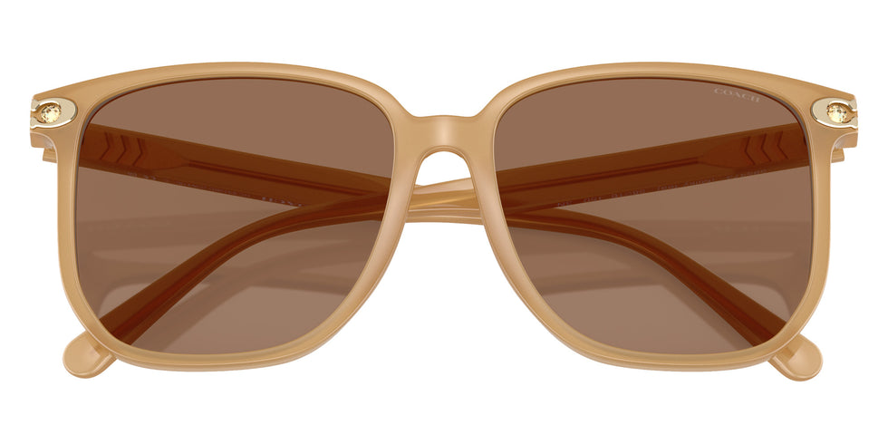 Coach HC8413BD CW419 585473 58 - Milky Tea / Brown Solid #id:hc8413bd585473_s:110120