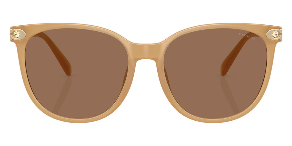 Coach HC8414BD CW428 585473 57 - Milky Tea / Brown Solid #id:hc8414bd585473_s:106100