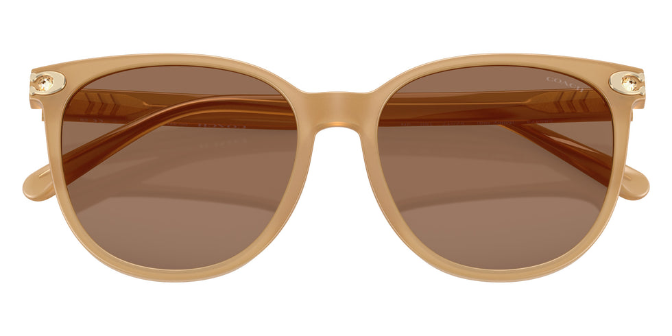 Coach HC8414BD CW428 585473 57 - Milky Tea / Brown Solid #id:hc8414bd585473_s:106120