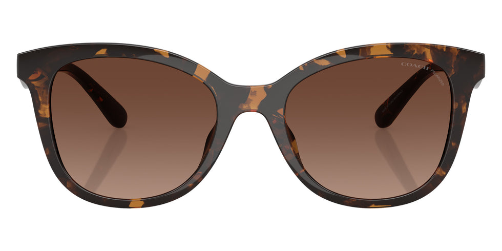 Coach HC8419U CAD25 5120T5 55 - Dark Tortoise / Brown Gradient Polarized #id:hc8419u5120t5_s:104100
