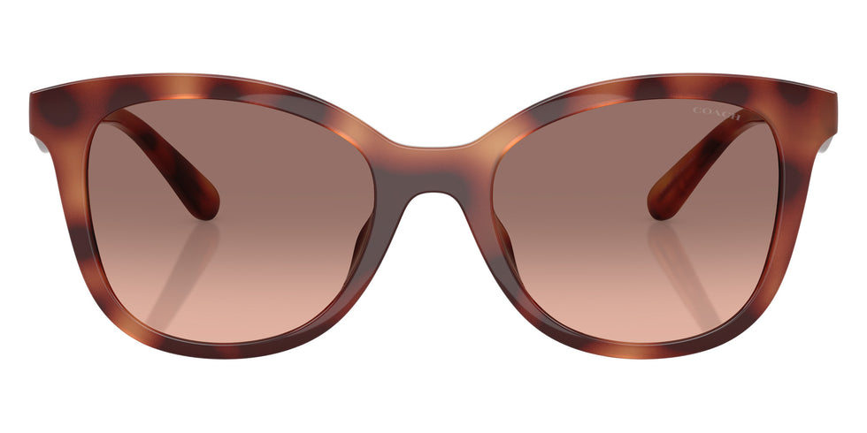 Coach HC8419U CAD25 577413 55 - Caramel Tortoise / Brown Pink Gradient #id:hc8419u577413_s:106100