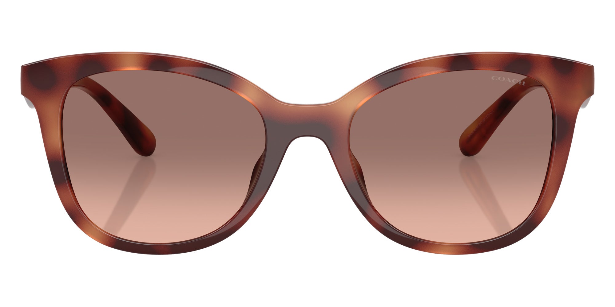 Coach HC8419U CAD25 577413 55 - Caramel Tortoise / Brown Pink Gradient #id:hc8419u577413_s:106100