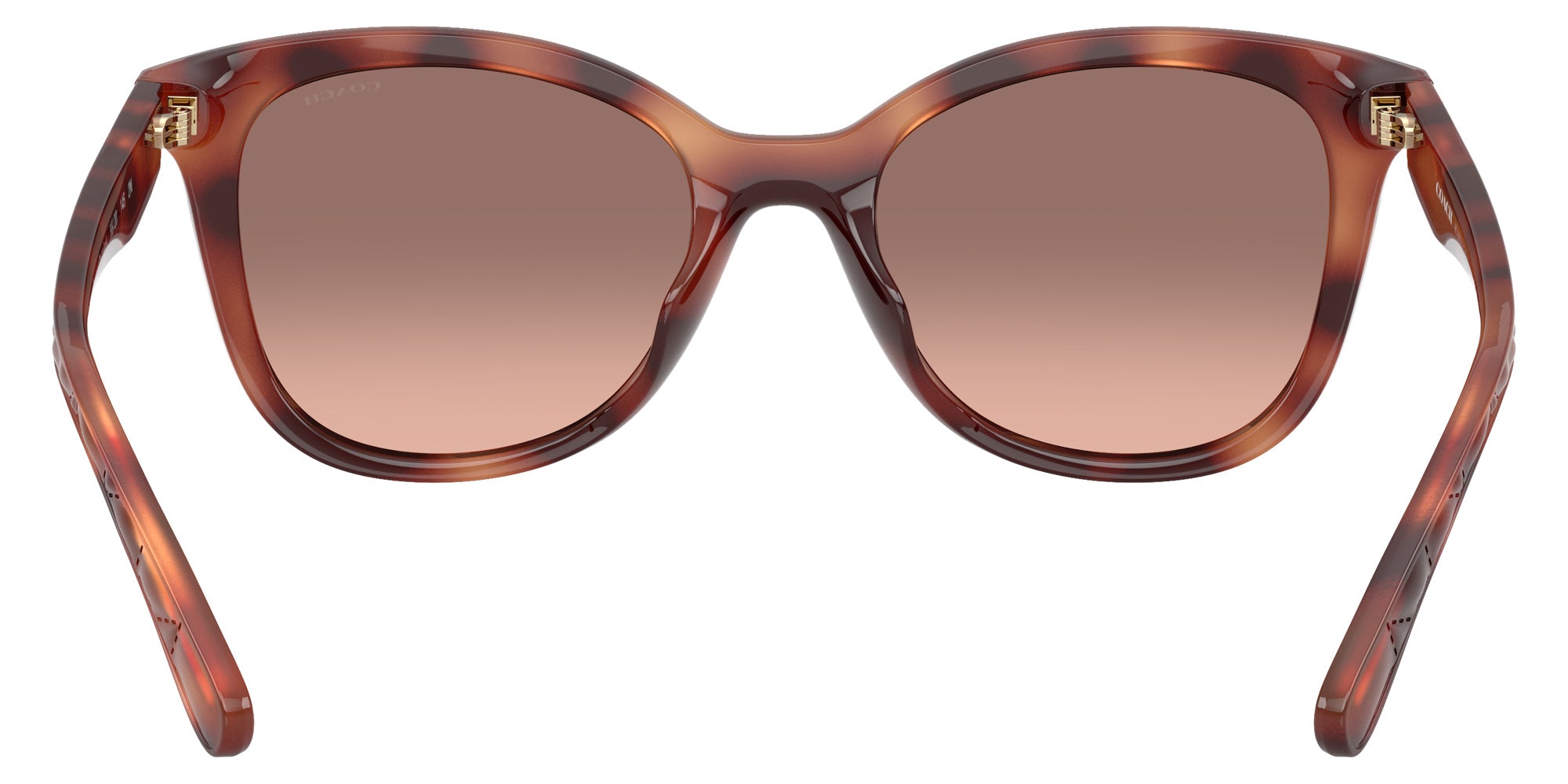 Coach HC8419U CAD25 577413 55 - Caramel Tortoise / Brown Pink Gradient #id:hc8419u577413_s:106115