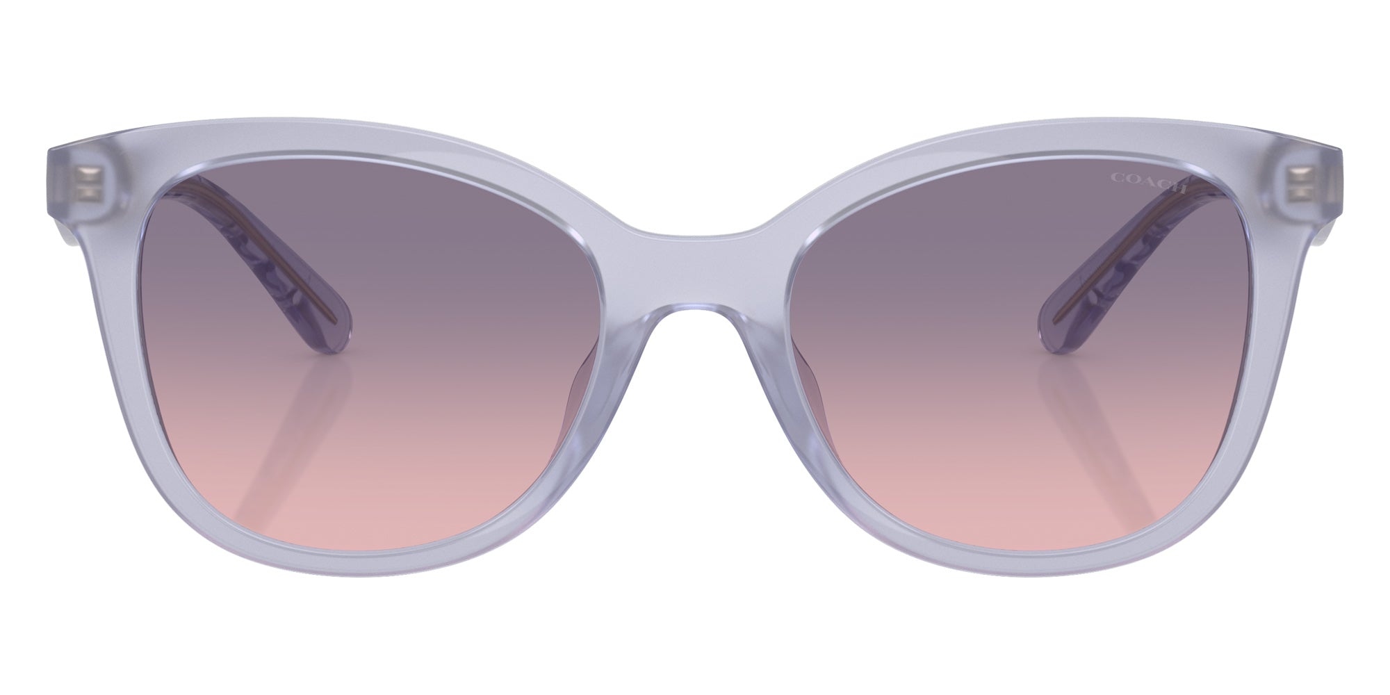 Coach HC8419U CAD25 5873I6 55 - Milky Purple / Violet Gradient #id:hc8419u5873i6_s:108100