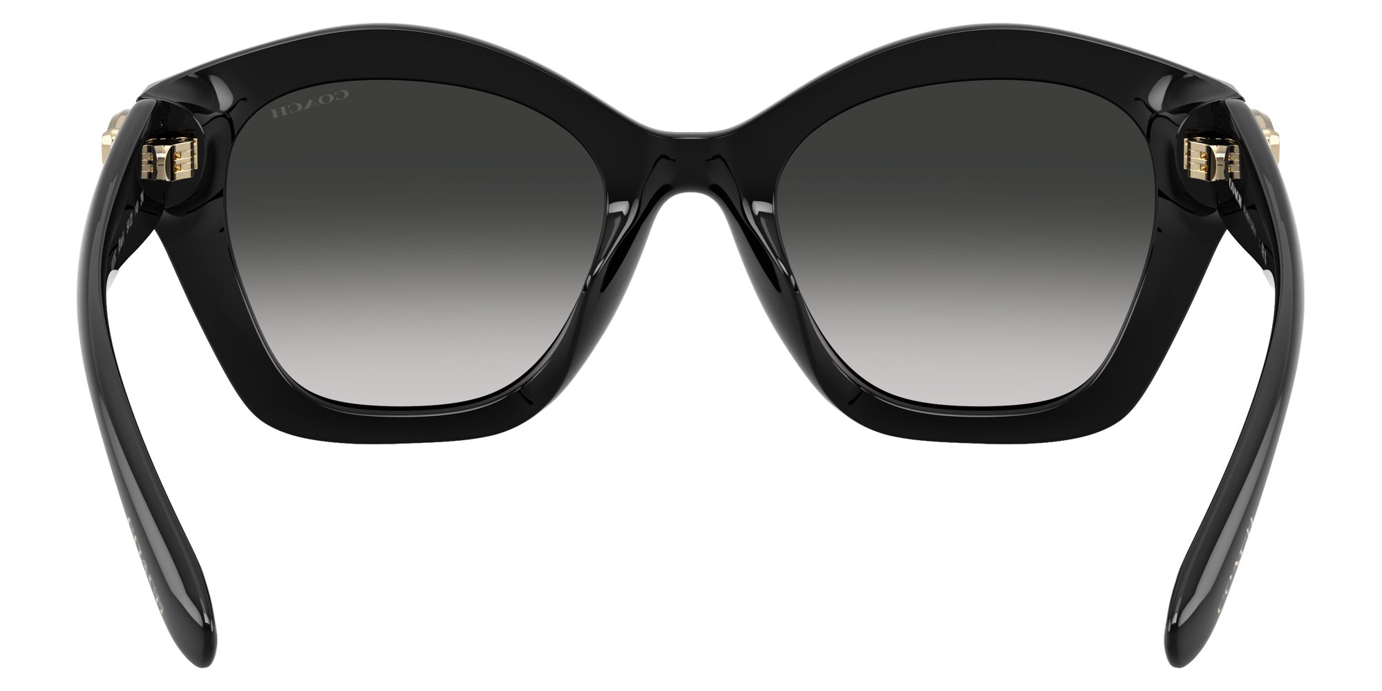 Coach HC8421U CAD31 50023C 54 - Black / Gray Gradient #id:hc8421u50023c_s:100115