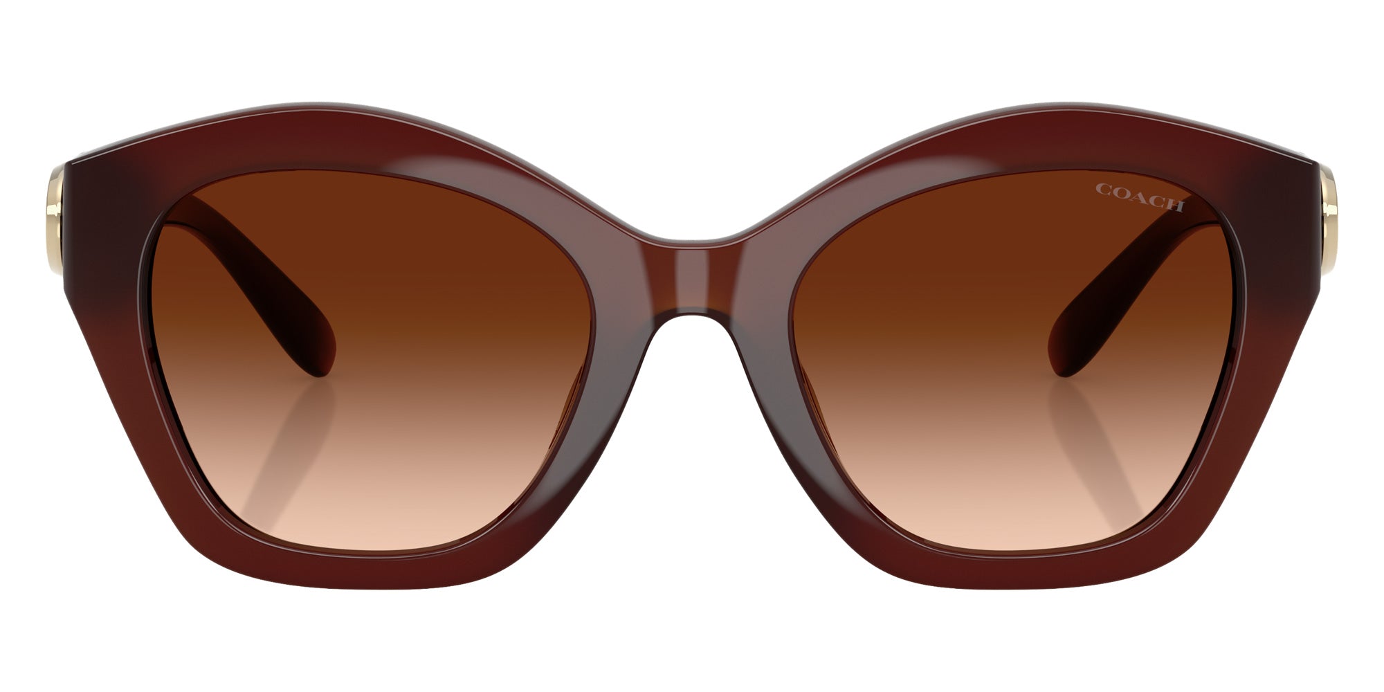 Coach HC8421U CAD31 584174 54 - Milky Hazelnut / Brown Gradient #id:hc8421u584174_s:104100