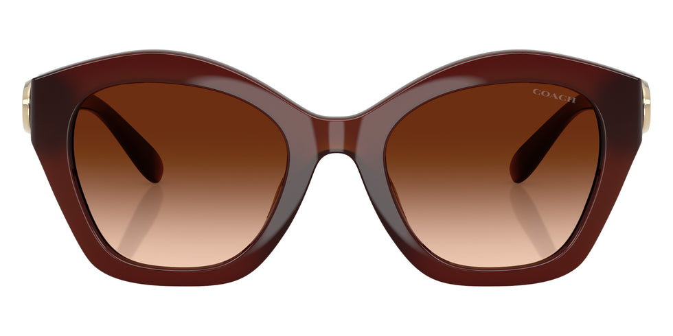 Coach HC8421U CAD31 584174 54 - Milky Hazelnut / Brown Gradient #id:hc8421u584174_s:104100