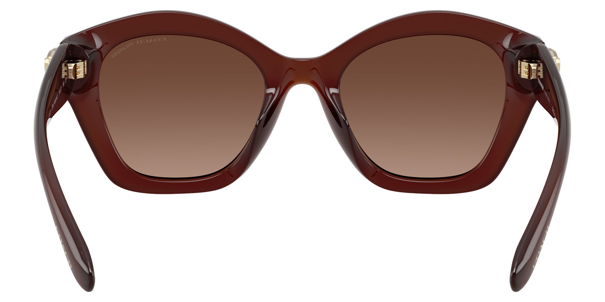 Coach HC8421U CAD31 5841T5 54 - Milky Hazelnut / Brown Gradient Polarized #id:hc8421u5841t5_s:106115