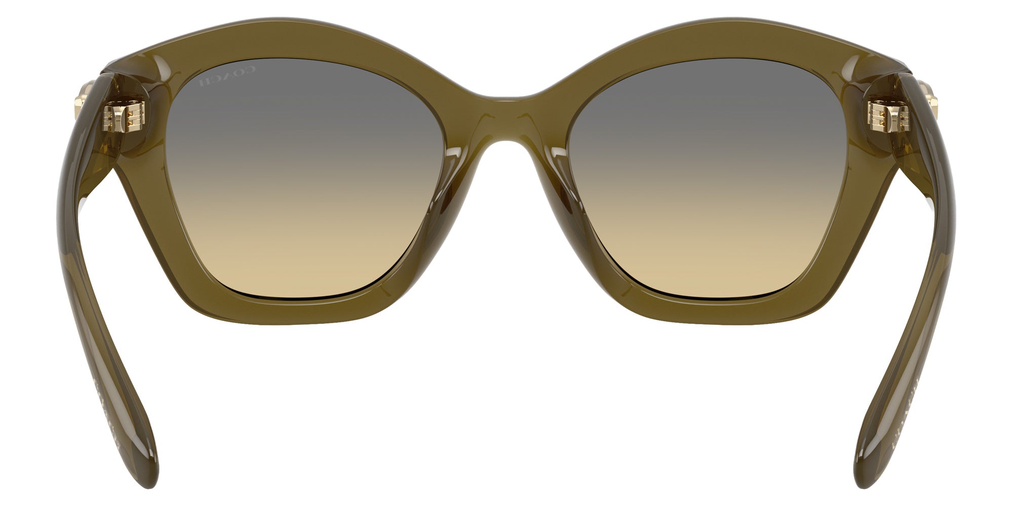 Coach HC8421U CAD31 5872L0 54 - Milky Olive / Gray Olive Gradient #id:hc8421u5872l0_s:110115