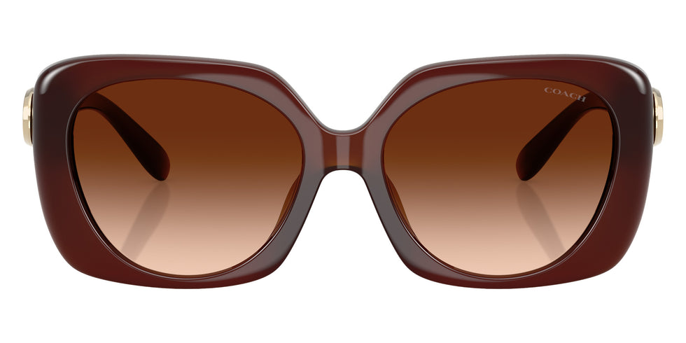 Coach HC8422U CAD33 584174 55 - Milky Hazelnut / Brown Gradient #id:hc8422u584174_s:104100
