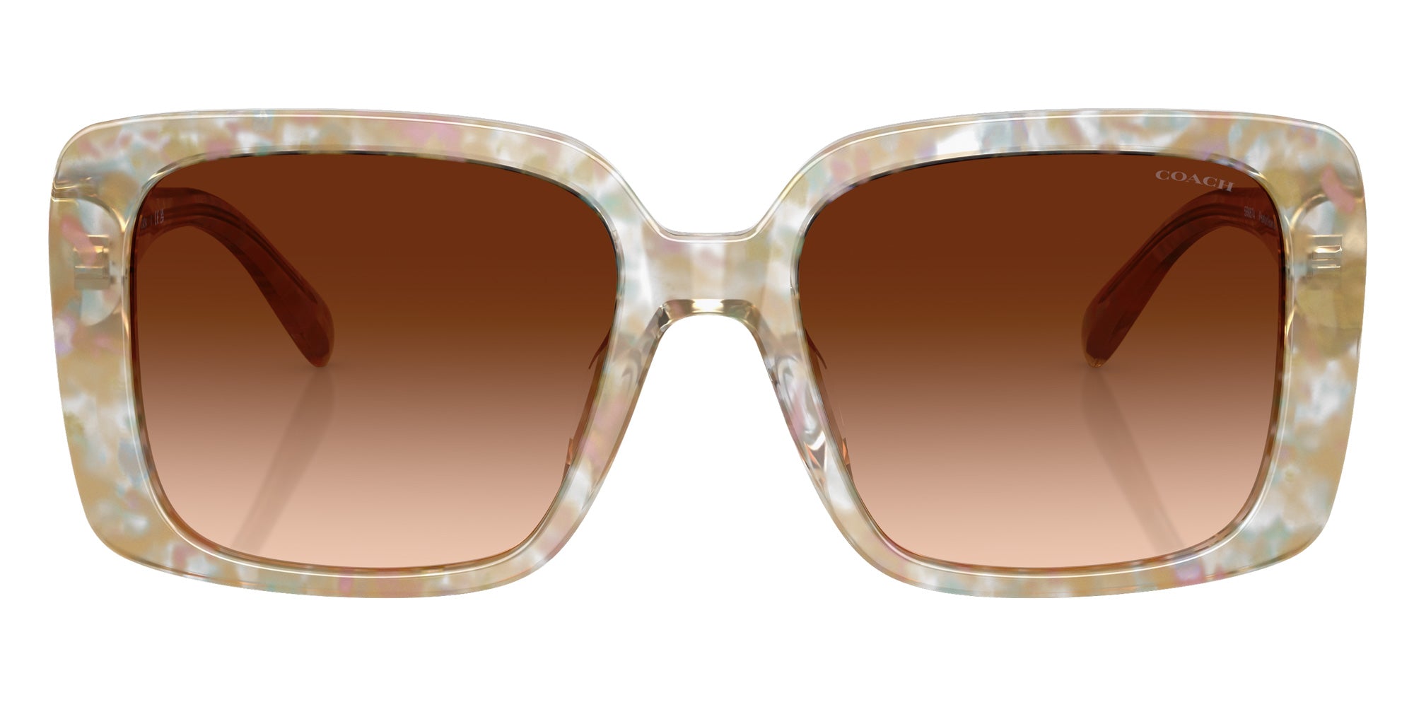 Coach HC8424U CAD54 586874 54 - Pearlized Brown Watercolor / Brown Gradient #id:hc8424u586874_s:106100