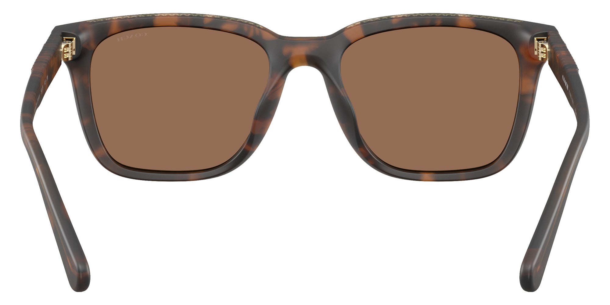 Coach HC8426U CAD81 512073 54 - Matte Dark Tortoise / Brown Solid #id:hc8426u512073_s:104115