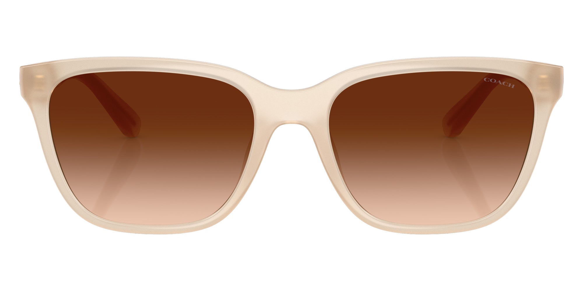 Coach HC8429D CAE86 588374 56 - Milky Coconut / Brown Gradient #id:hc8429d588374_s:104100
