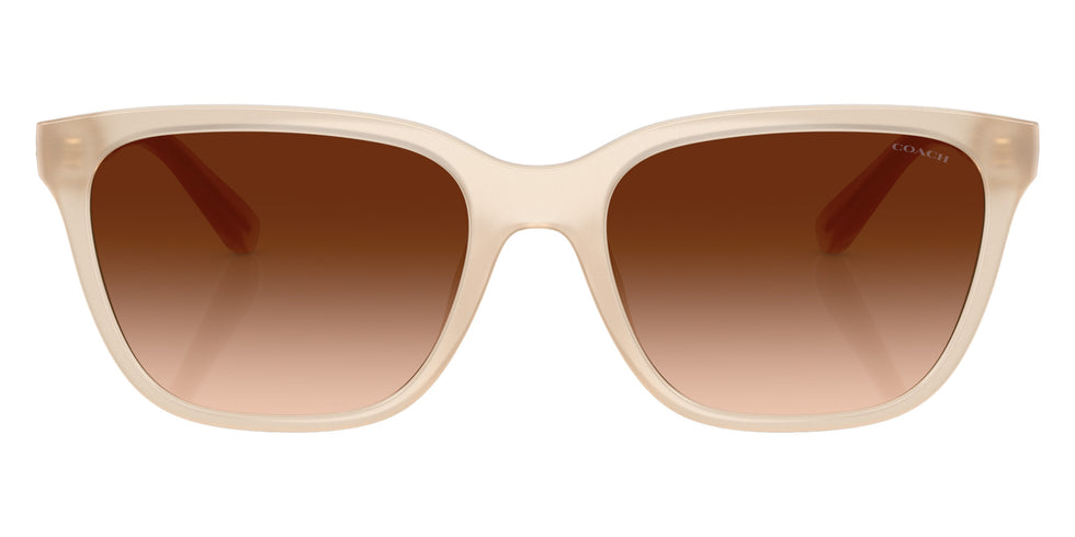 Coach HC8429D CAE86 588374 56 - Milky Coconut / Brown Gradient #id:hc8429d588374_s:104100