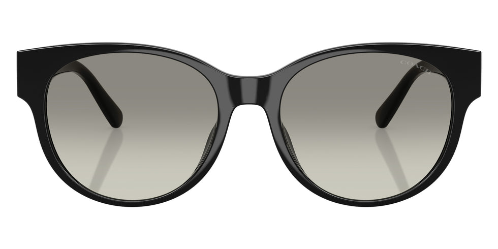 Coach HC8430D CAE87 50023C 56 - Black / Gray Gradient #id:hc8430d50023c_s:100100