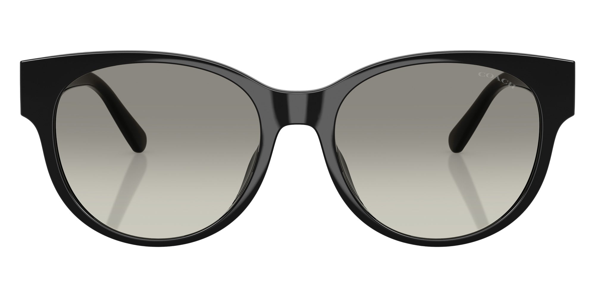 Coach HC8430D CAE87 50023C 56 - Black / Gray Gradient #id:hc8430d50023c_s:100100