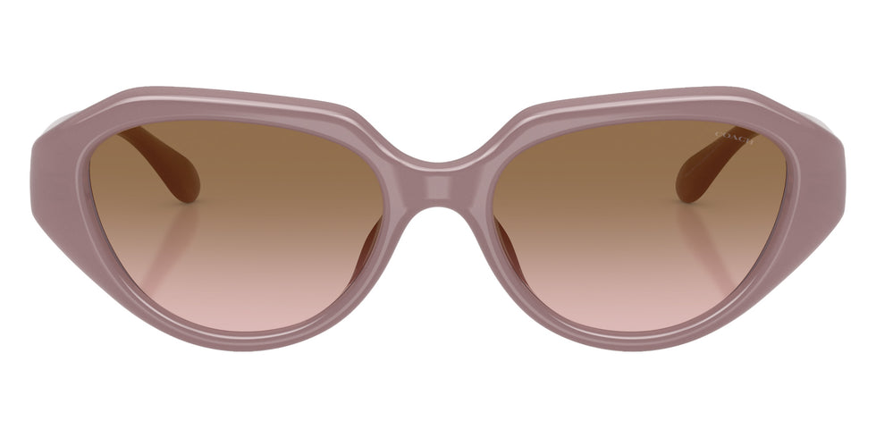 Coach HC8433U CBY77 549511 52 - Milky Putty / Brown Peach Gradient #id:hc8433u549511_s:102100