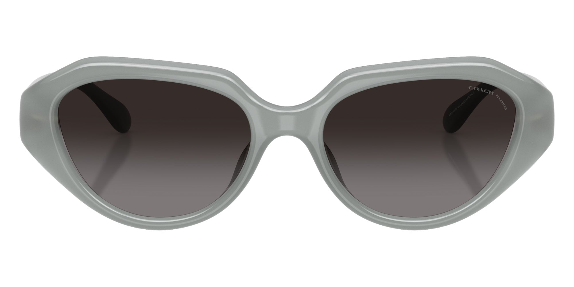 Coach HC8433U CBY77 5905T3 52 - Milky Eucalyptus / Gray Polarized #id:hc8433u5905t3_s:108100