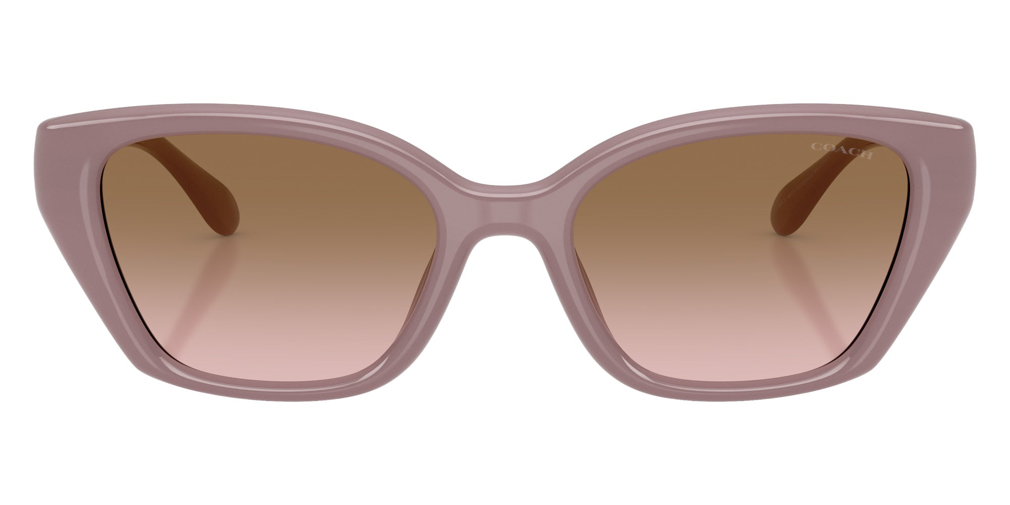 Coach HC8434U CBY91 549511 53 - Milky Putty / Brown Peach Gradient #id:hc8434u549511_s:104100