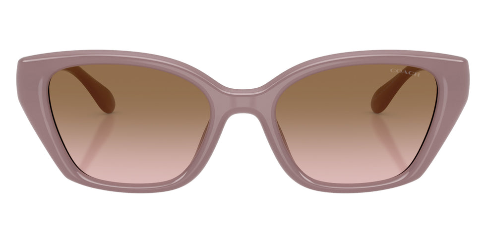 Coach HC8434U CBY91 549511 53 - Milky Putty / Brown Peach Gradient #id:hc8434u549511_s:104100